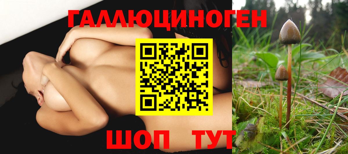 Галлюциногенные грибы Cubensis Петрозаводск