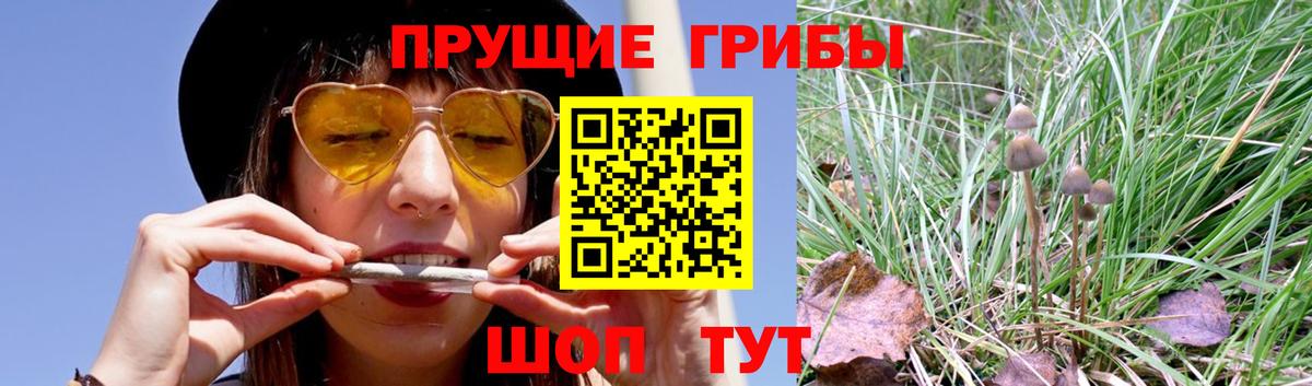 Псилоцибиновые грибы MAGIC MUSHROOMS  Вход с VPN  Галлюциногенные грибы Magic Shrooms  где купить наркотик  Петрозаводск 